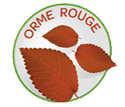 Orme rouge - Arkodigest® No Reflux NR