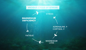 The origins of a magnesium deficiency