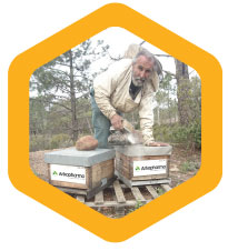 Philippe Chavignol, apiculteur