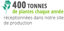 400 tonnes de plantes