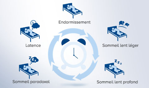 cycle sommeil
