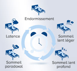 cycle sommeil