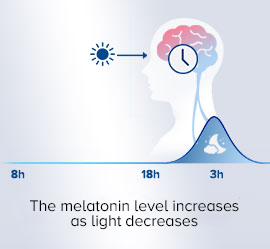 The melatonin increases as the light decreases