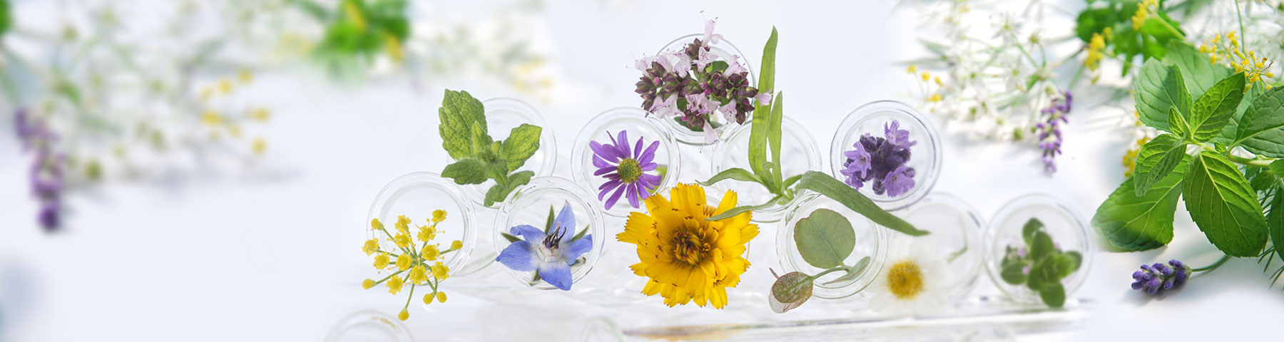 Herbal Products | Arkopharma