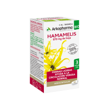 Hammamelis