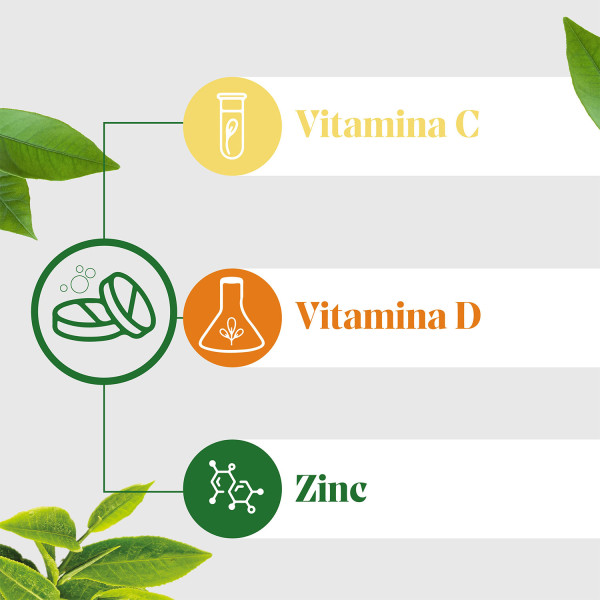 vitamina c&d3 ingredientes