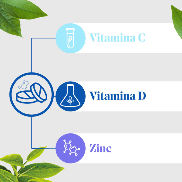 vitamina-c-d-zinc-ingredientes